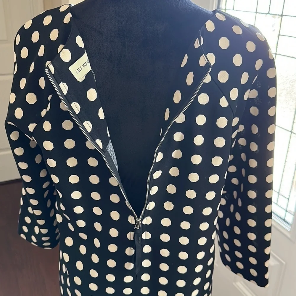 Anthropologie Lili Wang for Lili's Closet Polka Dot Casual Dress